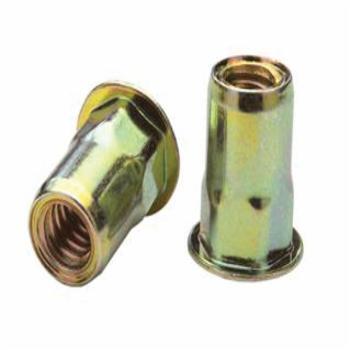 CF-AEHS8-1015-7.9B AEHS8-1015-7.9B, Rivetnut Insert, M10x1.5 ISO-5H (3.81-7.90mm Grip) Semi-Hex Body, Low Profile Hea